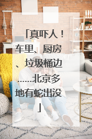 真吓人！车里、厨房、垃圾桶边……北京多地有蛇出没